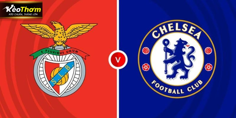 Chelsea vs Benfica