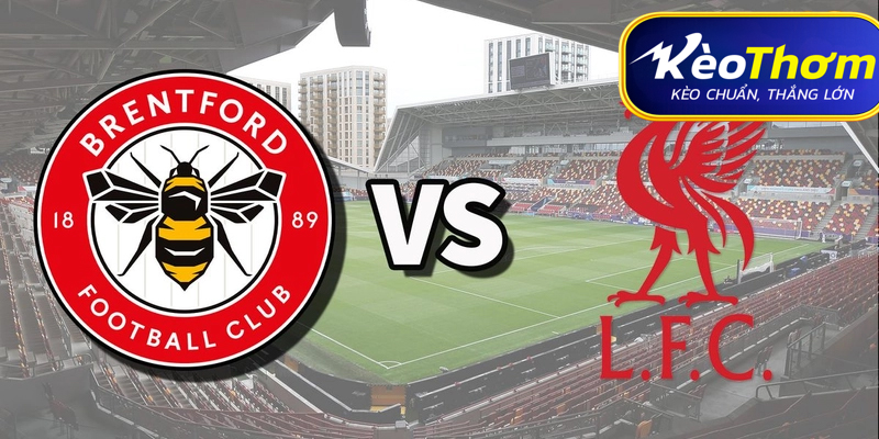 Brentford vs Liverpool Kèo Thơm: Phân tích tỷ lệ, thống kê lịch sử đối đầu