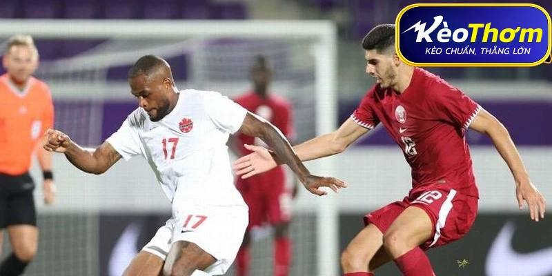 Phân tích thực lực Canada: Sức mạnh từ "Cỗ máy" Alphonso Davies