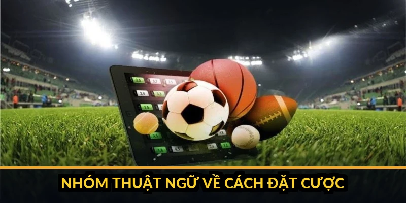 Phân biệt cược đơn và cược xâu, quản lý vốn