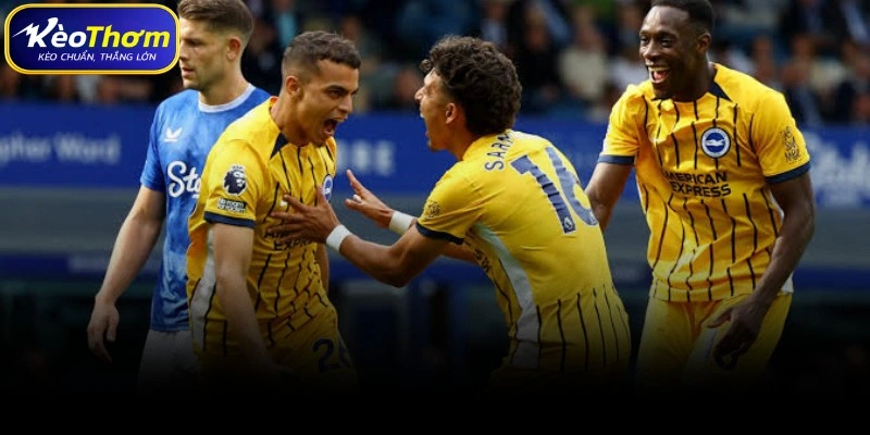 Phân tích chuyên sâu chiến thuật Everton gặp Brighton