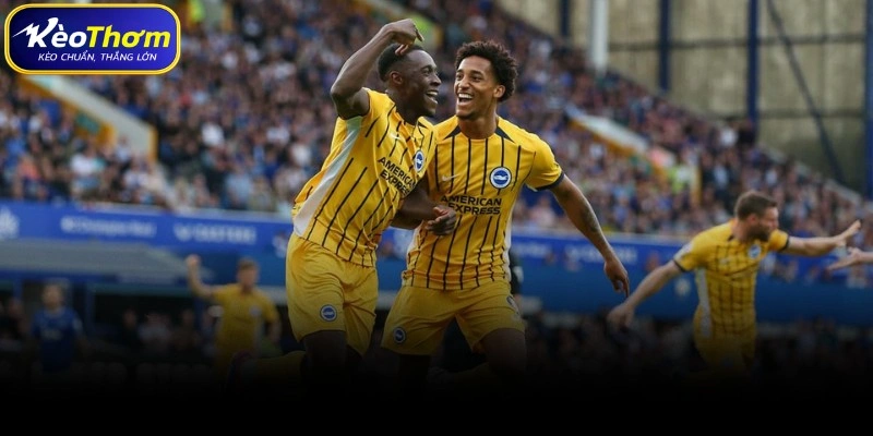 Dự báo xu hướng tương lai soi kèo Everton gặp Brighton