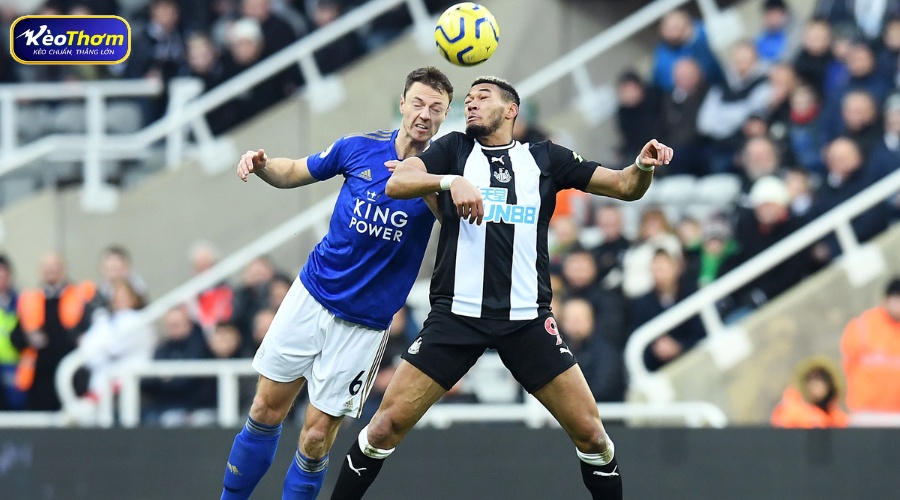 5 trận gần nhất Leicester vs Newcastle giai đoạn 2023 - 2026