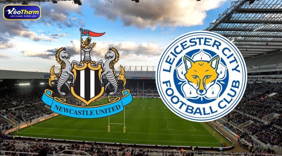 Tổng quan dữ liệu Leicester vs Newcastle từ KeoThom