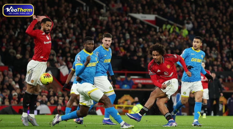 Đồ họa thống kê lịch sử đối đầu giữa Man Utd và Wolves với ưu thế nghiêng về Quỷ đỏ.