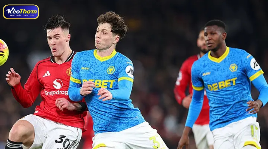 Bản đồ nhiệt cho thấy sự áp đảo của hàng tiền vệ Man Utd trong các cuộc chạm trán Wolves gần đây.