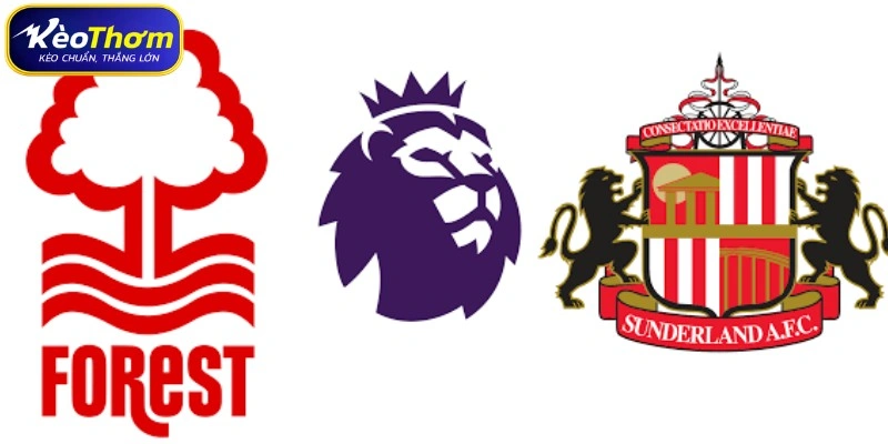 Thống kê thẻ phạt và nhịp độ tranh chấp Nottingham Forest vs Sunderland