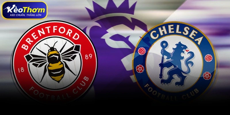 Dự báo xu hướng đặt cược Brentford vs Chelsea tương lai