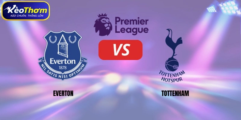 Vài nét chính về số liệu thống kê Everton gặp Tottenham 