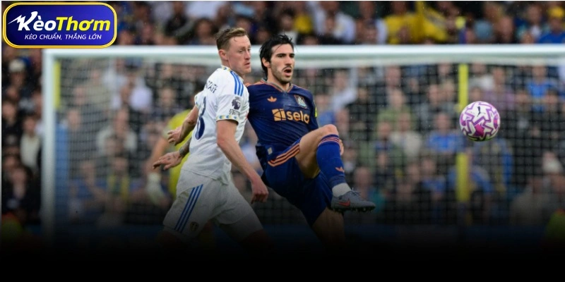 Phân tích chuyên sâu cuộc chạm trán Leeds United FC vs Newcastle