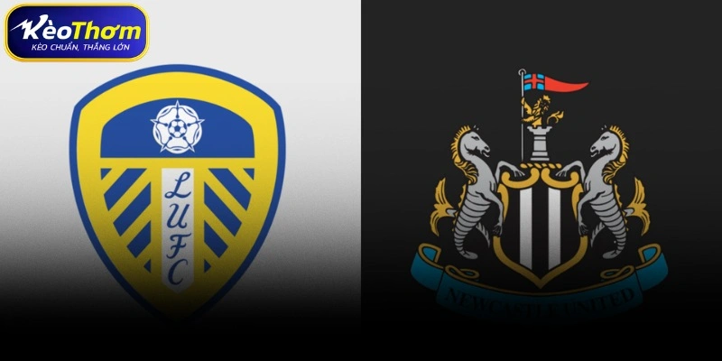 Nhận định xu hướng soi kèo cặp Leeds United vs Newcastle