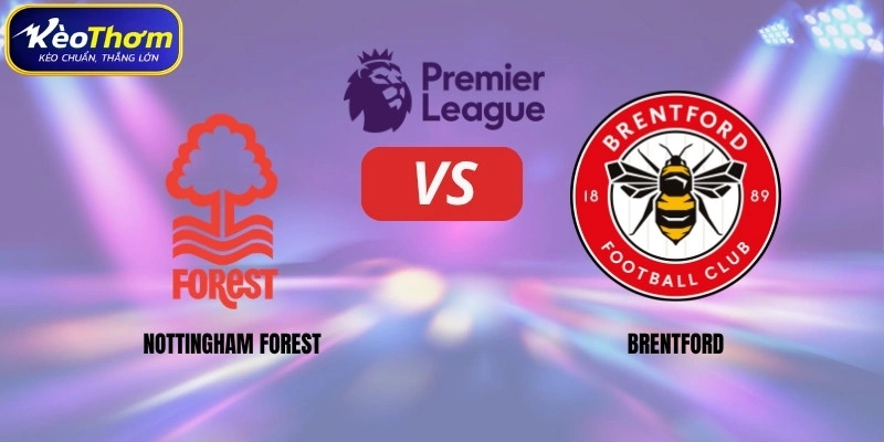 Nottingham Forest vs Brentford