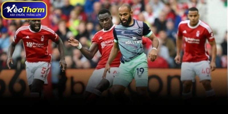 Biên niên sử đối đầu giữa Nottingham Forest và Brentford