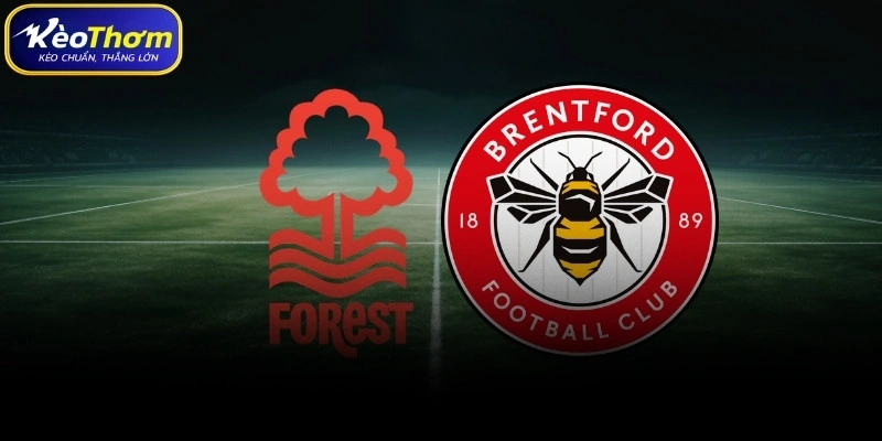 Thống kê thẻ phạt và tính chất cặp đấu Nottingham Forest vs Brentford