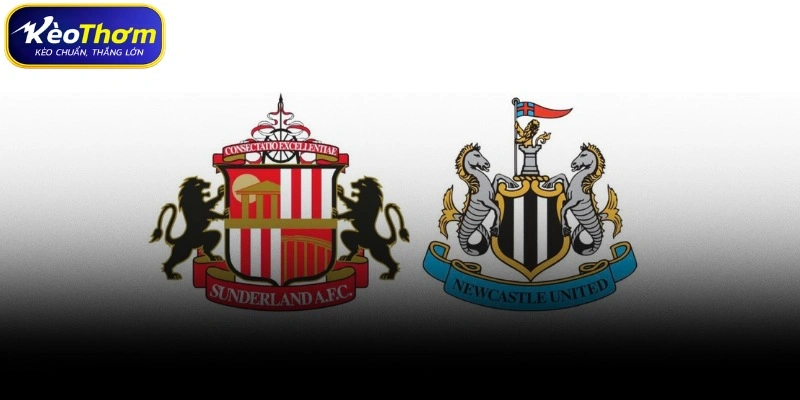 Kinh nghiệm soi kèo và xu hướng trận Sunderland vs Newcastle