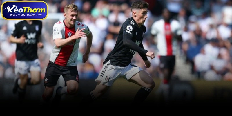 Tổng quan số liệu thống kê Southampton vs Fulham