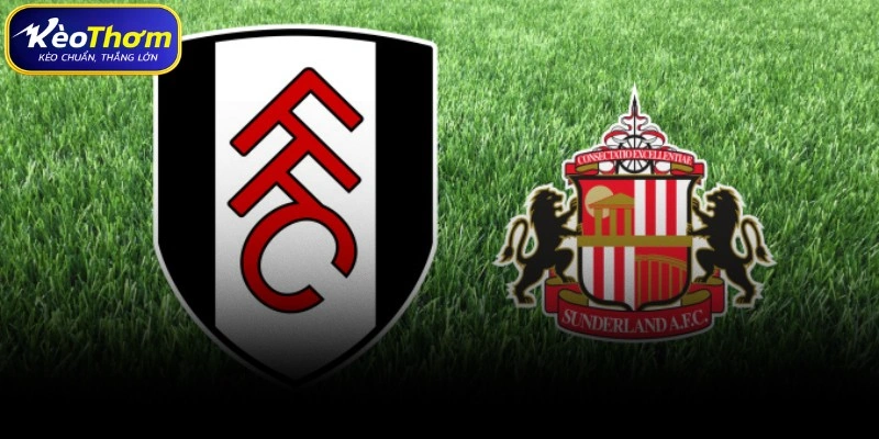 Tổng quan số liệu thống kê Sunderland gặp Fulham