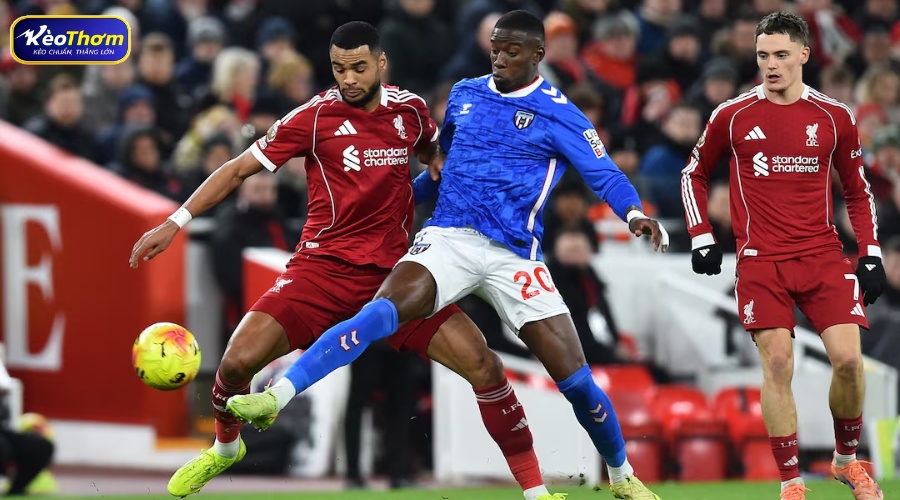 Lịch sử Sunderland vs Liverpool và ưu thế của vùng Merseyside
