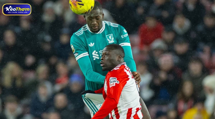 Tổng quan dữ liệu Sunderland vs Liverpool từ KeoThom