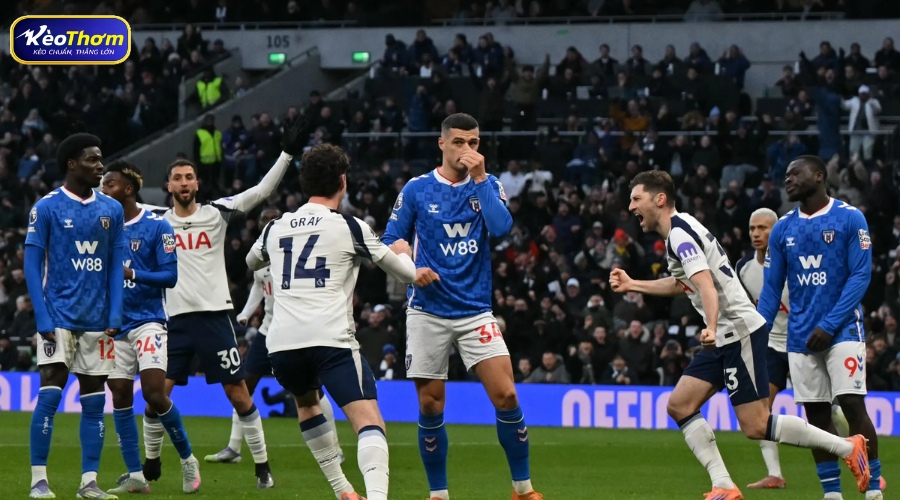 Lịch sử Tottenham vs Sunderland và sự khác biệt về vị thế
