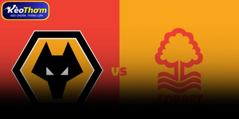 Wolves vs Nottingham Forest